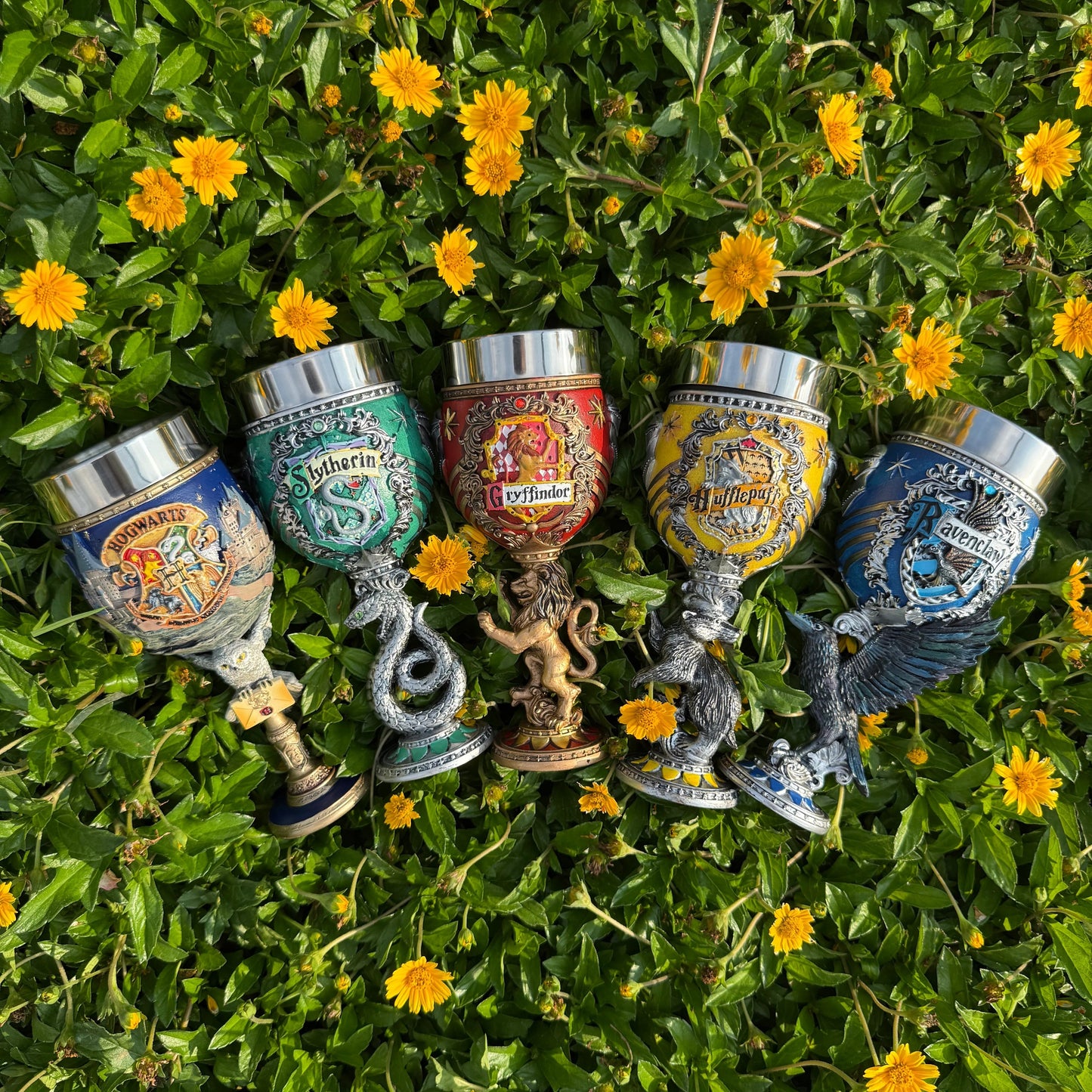 CoconMagique™ – Verres Harry Potter